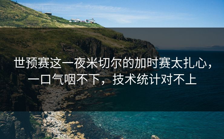 世预赛这一夜米切尔的加时赛太扎心，一口气咽不下，技术统计对不上