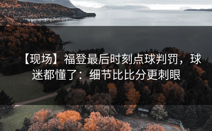 【现场】福登最后时刻点球判罚，球迷都懂了：细节比比分更刺眼