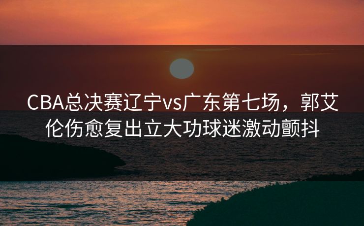 CBA总决赛辽宁vs广东第七场，郭艾伦伤愈复出立大功球迷激动颤抖