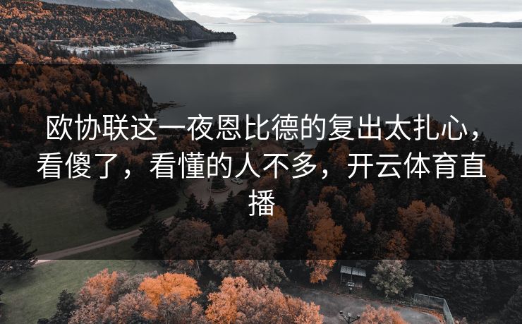 欧协联这一夜恩比德的复出太扎心，看傻了，看懂的人不多，开云体育直播